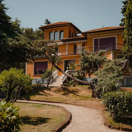 Mimosa Au - Estella Italia *