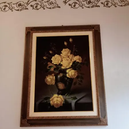 Pensjonat Mimosa Au - Estella Italia